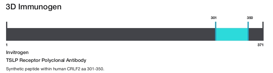 TSLP Receptor Polyclonal Antibody