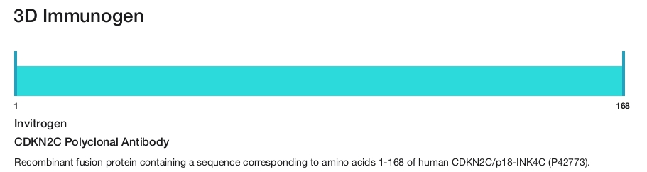 CDKN2C Polyclonal Antibody