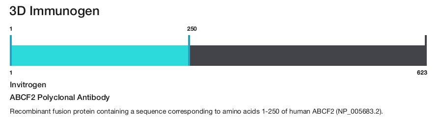ABCF2 Polyclonal Antibody