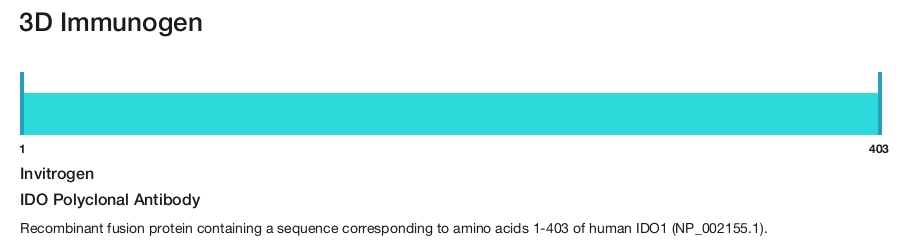 IDO Polyclonal Antibody