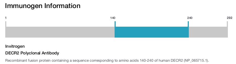 DECR2 Polyclonal Antibody