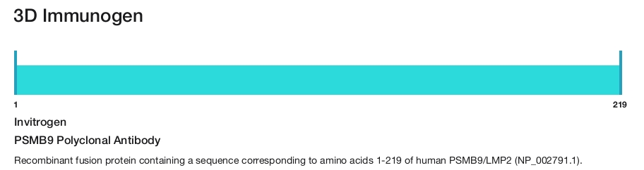 PSMB9 Polyclonal Antibody