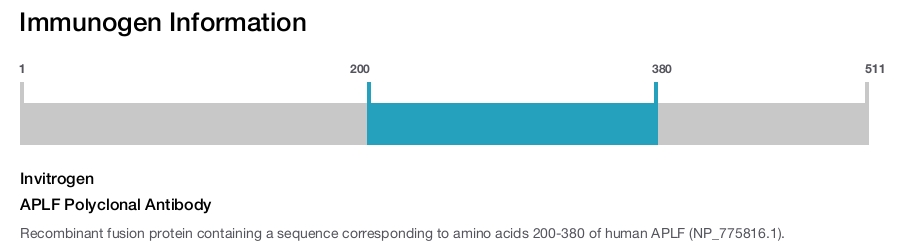 APLF Polyclonal Antibody
