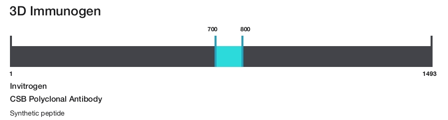 CSB Polyclonal Antibody