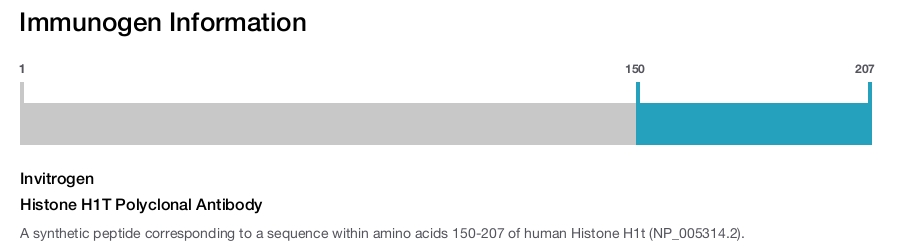 Histone H1T Polyclonal Antibody