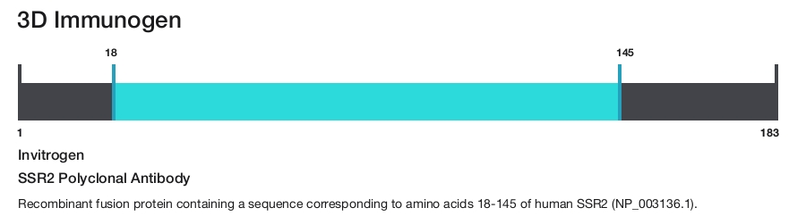 SSR2 Polyclonal Antibody