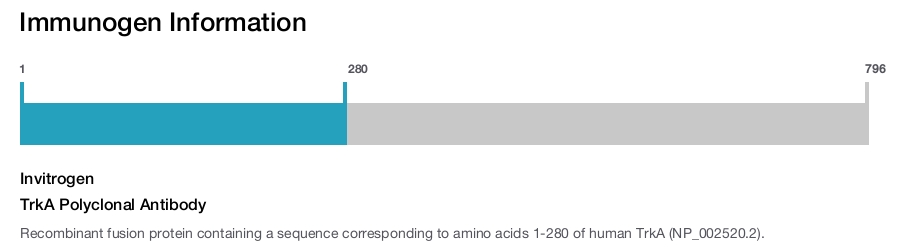 TrkA Polyclonal Antibody