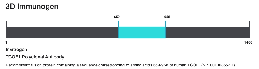 TCOF1 Polyclonal Antibody