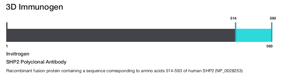 SHP2 Polyclonal Antibody