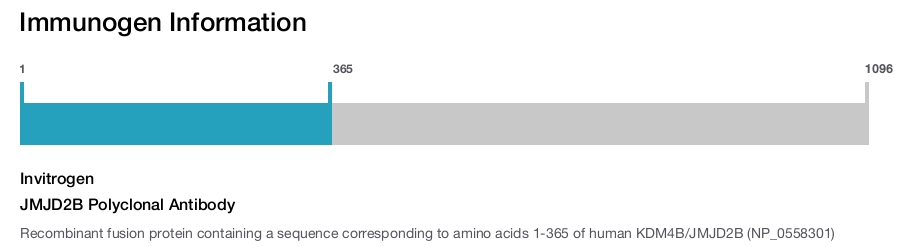 JMJD2B Polyclonal Antibody