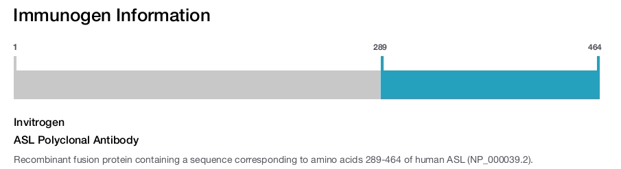 ASL Polyclonal Antibody