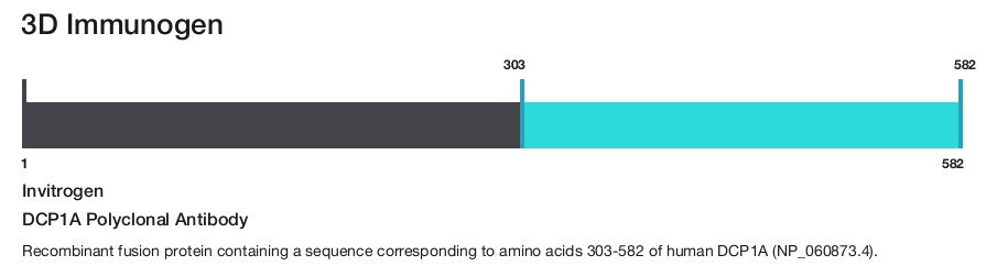 DCP1A Polyclonal Antibody
