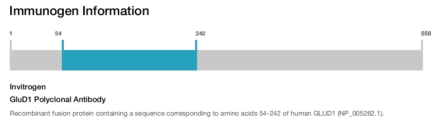 GluD1 Polyclonal Antibody