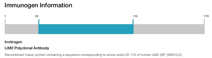 LIM2 Polyclonal Antibody