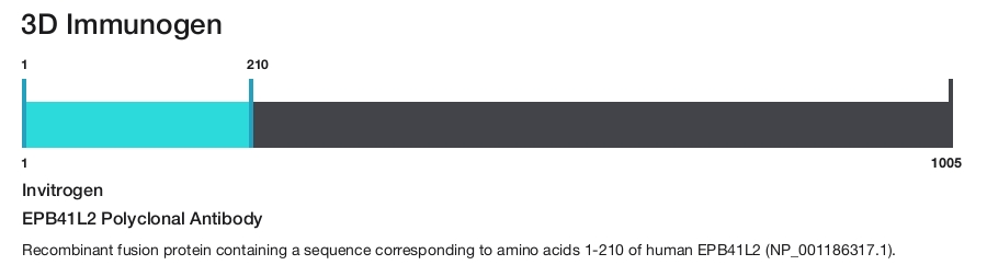 EPB41L2 Polyclonal Antibody