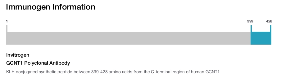 GCNT1 Polyclonal Antibody