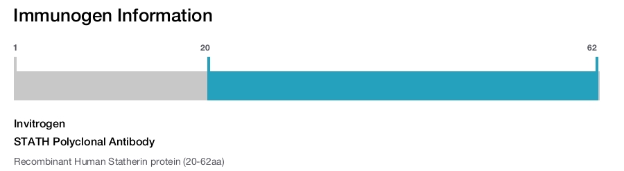 STATH Polyclonal Antibody