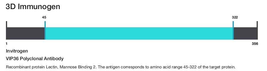 VIP36 Polyclonal Antibody