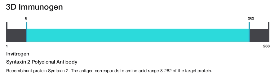 Syntaxin 2 Polyclonal Antibody