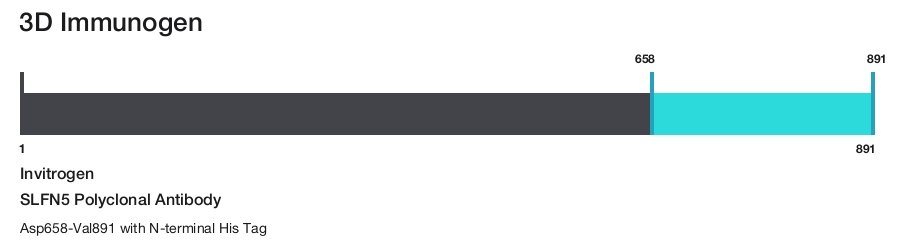 SLFN5 Polyclonal Antibody