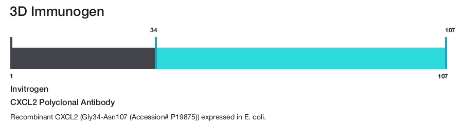 CXCL2 Polyclonal Antibody