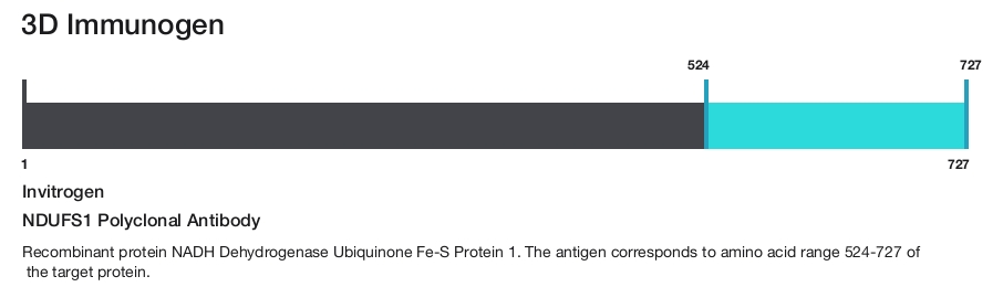 NDUFS1 Polyclonal Antibody