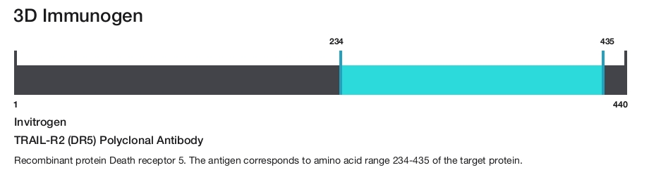 TRAIL-R2 (DR5) Polyclonal Antibody