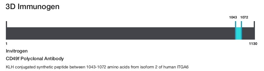 CD49f Polyclonal Antibody