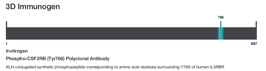Phospho-CSF2RB (Tyr766) Polyclonal Antibody