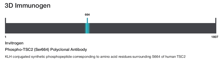 Phospho-TSC2 (Ser664) Polyclonal Antibody