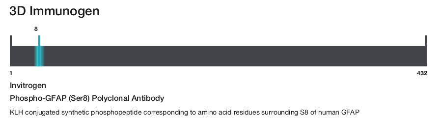 Phospho-GFAP (Ser8) Polyclonal Antibody