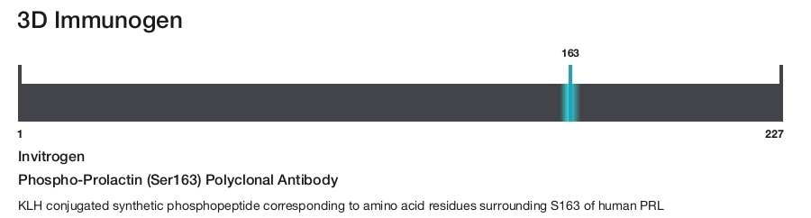 Phospho-Prolactin (Ser163) Polyclonal Antibody