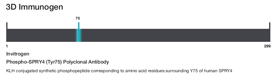 Phospho-SPRY4 (Tyr75) Polyclonal Antibody