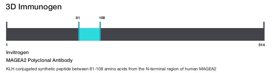MAGEA2 Polyclonal Antibody