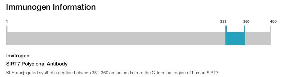 SIRT7 Polyclonal Antibody