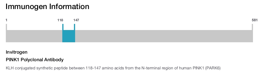 PINK1 Polyclonal Antibody