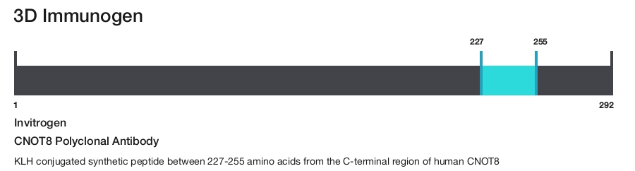 CNOT8 Polyclonal Antibody