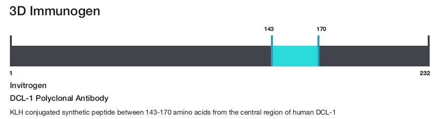 DCL-1 Polyclonal Antibody