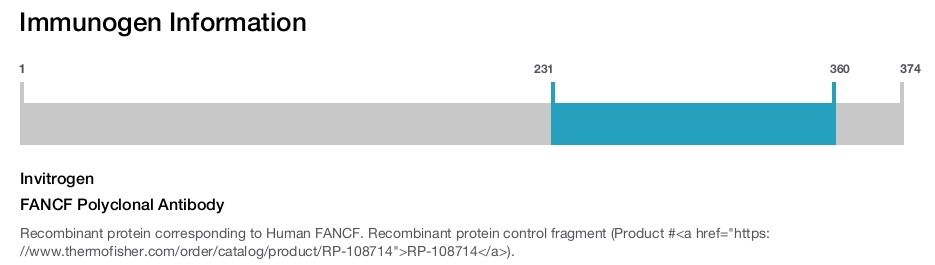 FANCF Polyclonal Antibody