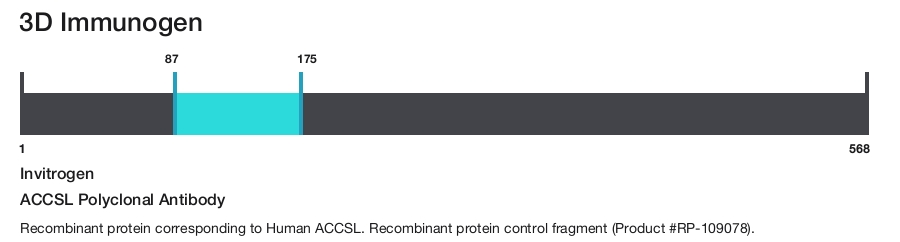 ACCSL Polyclonal Antibody
