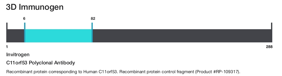 C11orf53 Polyclonal Antibody