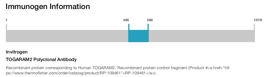 TOGARAM2 Polyclonal Antibody