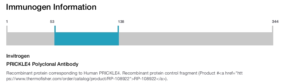PRICKLE4 Polyclonal Antibody