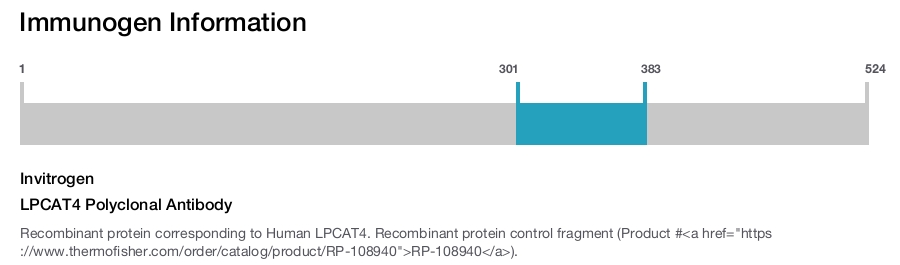 LPCAT4 Polyclonal Antibody