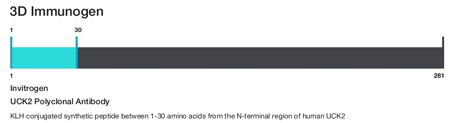 UCK2 Polyclonal Antibody