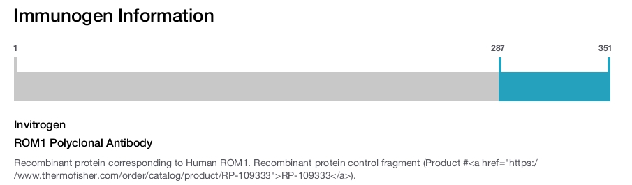 ROM1 Polyclonal Antibody