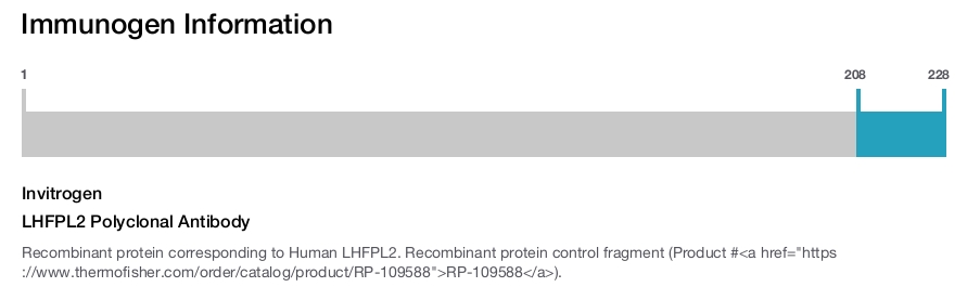 LHFPL2 Polyclonal Antibody