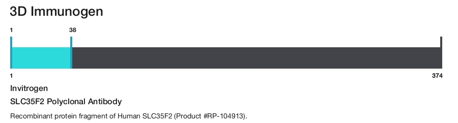 SLC35F2 Polyclonal Antibody
