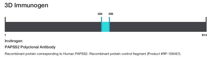 PAPSS2 Polyclonal Antibody