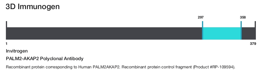 PALM2-AKAP2 Polyclonal Antibody